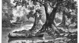 Timeline: Moreton bay Settlement