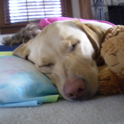 Timeline: Bella's life