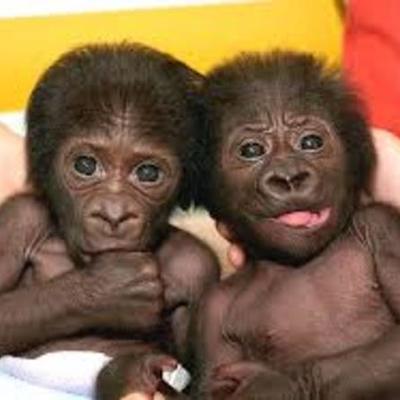 Timeline: Las 10 maravillas de nuestras miserables vidas