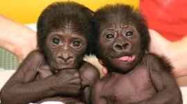 Timeline: Las 10 maravillas de nuestras miserables vidas