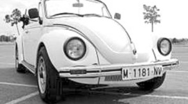 Timeline: Life of Jaqueline