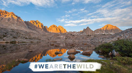 Timeline: Convention on the Law of the Sea or Law of the Sea Convention