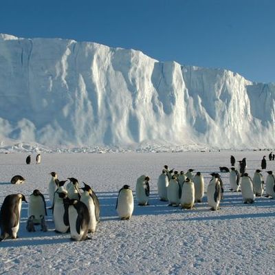 Timeline: National Environmental Policy Act (NEPA)