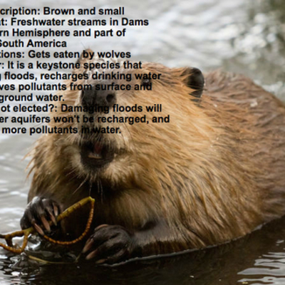 Timeline: Food quality protection act (1996)