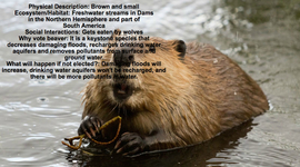 Timeline: Food quality protection act (1996)