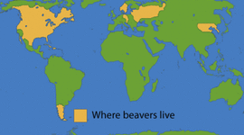 Timeline: Environmental Legislation Timeline