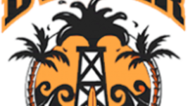 Timeline: Dwyer Educational Technology Timeline