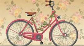 Timeline: The Story of my life