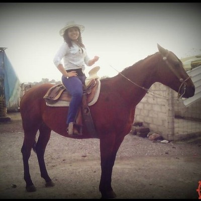 Timeline: Colección de ropa favorita ;)