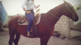 Timeline: Colección de ropa favorita ;)