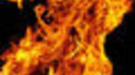 Timeline: Química Orgánica