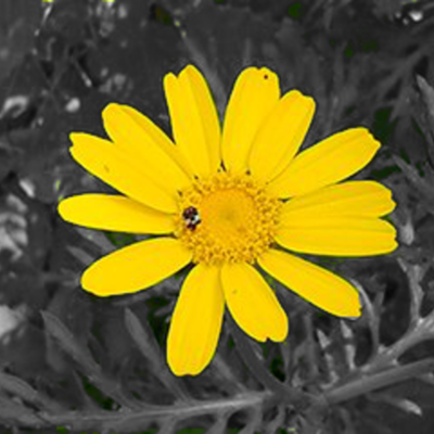 Timeline: Главные события