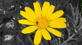 Timeline: Главные события