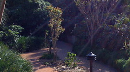 Timeline: Mitch's Timeline