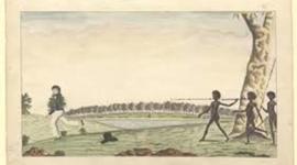 Timeline: History of Indigenous and Colonist Conflict