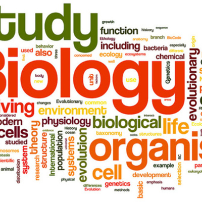 Timeline: Redemption Assignment