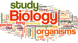 Timeline: Redemption Assignment