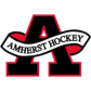Amherst Knights logo