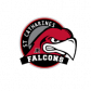 Garden City Jr Falcons Minor Hockey Association logo