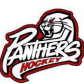 Franklin Park Panthers logo
