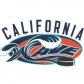 California Wave logo