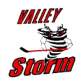 Valley Storm logo