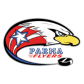 Parma Flyers logo