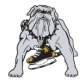 Anaheim Ice Dogs logo