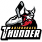 Adirondack Thunder Youth Hockey logo