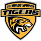 Colorado Springs Tigers Amateur Hockey Association logo