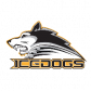 Casselman-Embrun IceDogs logo