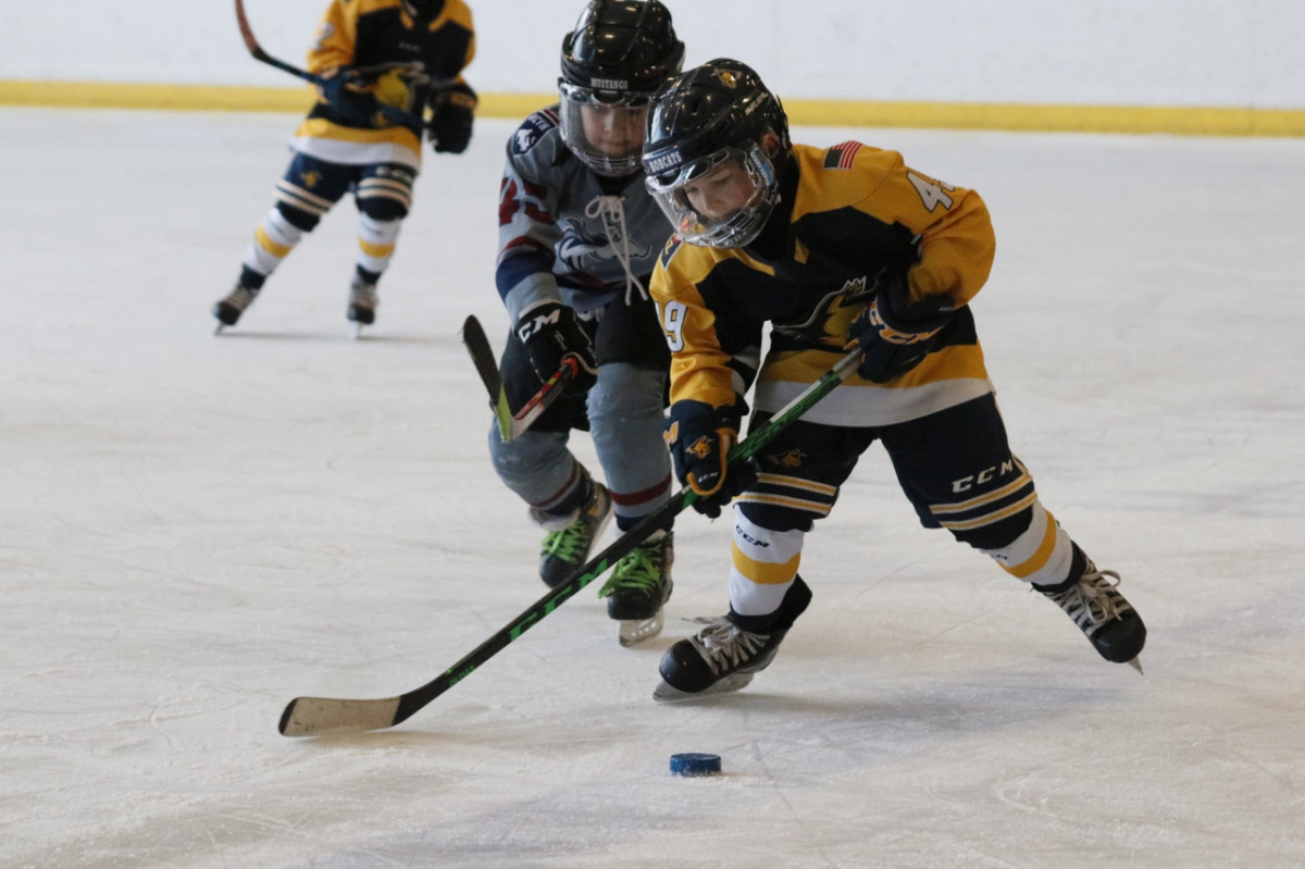 TCS Hockey TCS Salt Lake City Turkey Cup Salt Lake City, UT Hockey