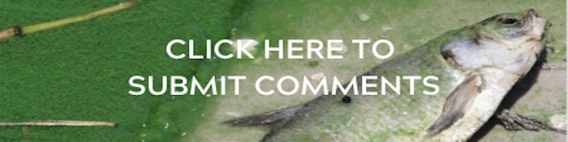CLICK_HERE_800.png