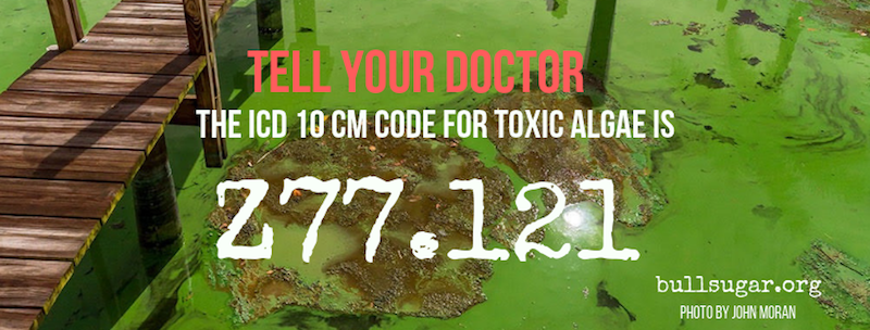 ICD_10_Code_800.jpg