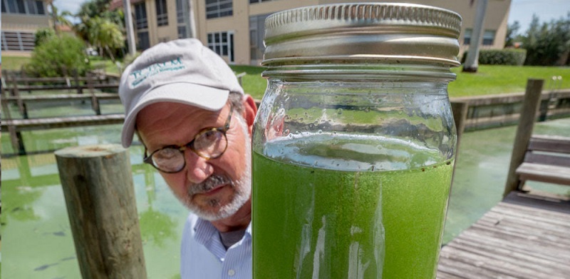 St. Lucie River Water Sample. Photo by John Moran