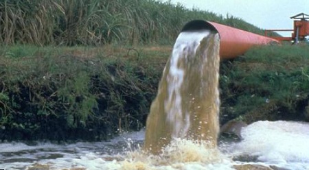Sugarcane runoff