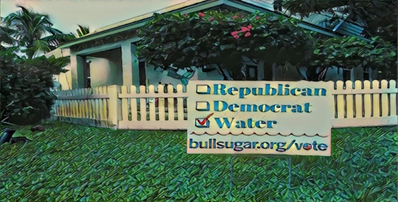 Vote_water800.jpg