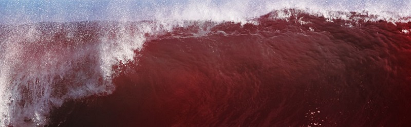 The results of 50 years of politics-as-usual are washing up on Florida's beaches