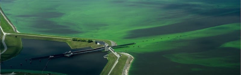 stopdischarges800.jpg