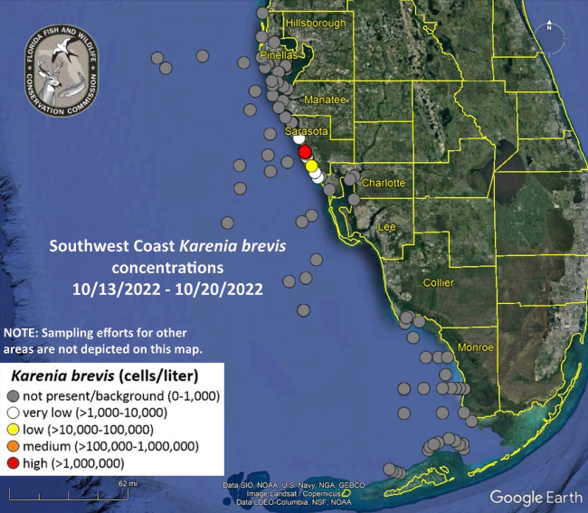 Clean Water Wasn t Part Of DeSantis Crist Debate But New Fish Kill 