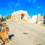 Alameda Wildlife Conservation Park in Gibraltar_431057734