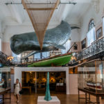 Interior of Oceanographic Museum in Monaco _382249669