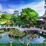 Japanese garden in Monte Carlo_232843738
