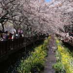 yeojwacheon-romance-bridge-in-busan_524162011
