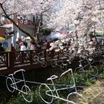 yeojwacheon-romance-bridge-in-busan_524137723