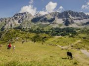 Madonna di Campiglio village, Traditional Skiing Resort in Italy