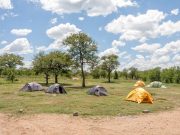Serengeti National Park,Tanzania, Exploring the Great Wildlife in Africa