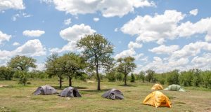 Serengeti National Park,Tanzania, Exploring the Great Wildlife in Africa