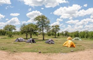 Serengeti National Park,Tanzania, Exploring the Great Wildlife in Africa