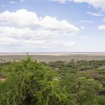 Serengeti National Park_123775177